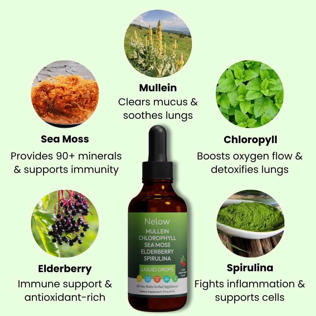 Mullein Lung Mucus Cleanse